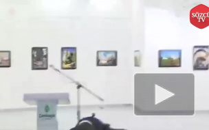 Момент убийства российского посла на открытии выставки попал на видео