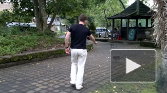 Изнасилование обезьяной