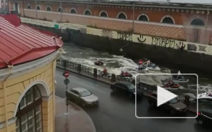 Деды Морозы устроили заплыв по Мойке