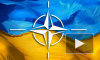 Ситуация на Украине сегодня: Рада рассматривает предложение о вступлении в НАТО