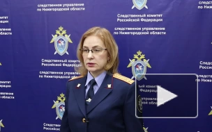 В Дзержинске возбудили уголовное дело о мошенничестве против депутата гордумы