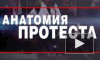 «Анатомия протеста-2»: оппозиция готовила захват власти и теракты