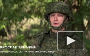 Российские военные за сутки отразили шесть контратак ВСУ на купянском направлении