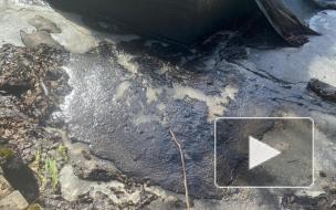 В Парголово обнаружили утечку нефтепродуктов