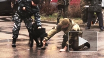 Кинологи и сотрудники СОБР "задержали" на границе "банды" при помощи собак и оружия