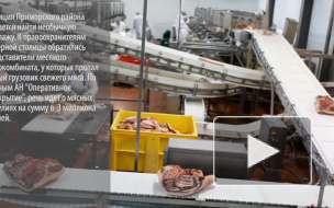 Голодный дальнобойщик украл фуру с мясом по дороге в Петербург