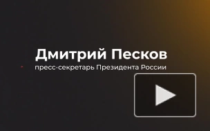 Песков заявил, что разговора с Эрдоганом пока нет в графике Путина