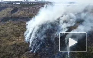 Более 50 человек борются с природным пожаром на Камчатке