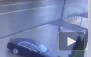 Камеры засняли падение тополя, убившего пассажиров КамАЗа в Ростове-на-Дону