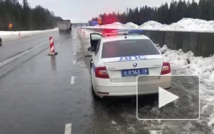 В Ленобласти полиция со стрельбой задержала водителя с признаками опьянения