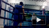 box