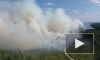 На всей территории Карелии ввели режим ЧС из-за лесных пожаров