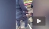 Полиция пресекла производство мефедрона под Петербургом
