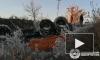 Видео с места ДТП: В Башкирии погиб водитель опрокинувшейся автоцистерны  