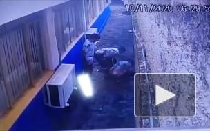 Побег через подкоп из тюрьмы в Бразилии попал на видео