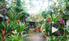 Ботанический сад продлит время работы 14 февраля