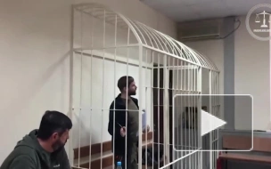 Петербургского блогера-сыроеда приговорили к восьми годам колони