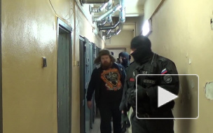 Появилось видео: Рыжий Тарзан доставлен в суд росгвардейцами