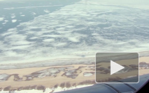 Второй пилот самолета A-320 мог намеренно направить самолет со 150 пассажирами на гору и совершить самоубийство