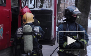 Спасатели эвакуировали 100 рожениц и младенцев из горящего роддома в Калининграде 