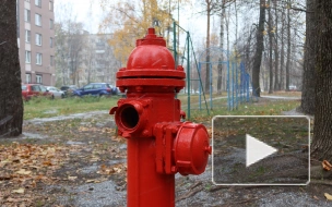 Петербуржец отреставрировал пожарный гидрант в МО "Пискаревка"