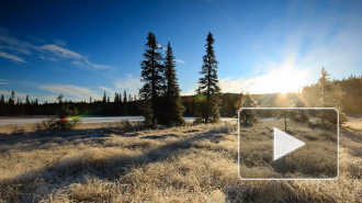 В Гидрометцентре предупредили россиян о ночных заморозках