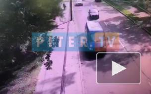 Момент падения дерева на Институтском проспекте попал на видео