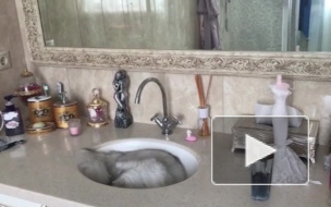 Волочкова посигналила поклонникам синими трусами