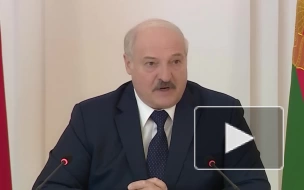Путин и Лукашенко поручили Минтрансам определить российские города для полетов "Белавиа"