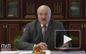 Лукашенко поручил использовать российские порты для белорусского экспорта