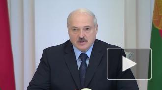 Лукашенко призвал протестующих устроиться на работу