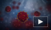 Минздрав: коронавирус вызывает заражение крови у каждого четвертого заболевшего