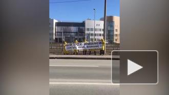 Люди в желтом вышли с плакатом к Боткинской больнице