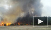 МЧС: на Чукотке горят 14 гектаров леса 