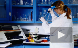 Роспотребнадзор обнаружил в виски "Джек Дэниел'с" средство для борьбы с насекомыми