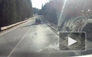 Видео, где старый живодер привязал собаку к машине и поехал, шокировало россиян