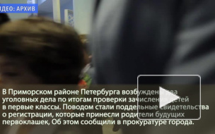 В Петербурге возбудили уголовные дела на родителей первоклассников