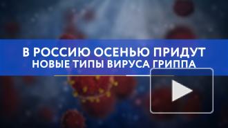 В Россию осенью придут новые типы вируса гриппа