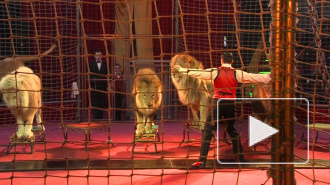  Дрессировщик показал удивительное шоу, оставшись наедине со львами