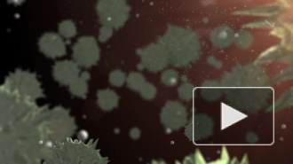 Роспотребнадзор не исключил проникновения в РФ коронавируса из Китая