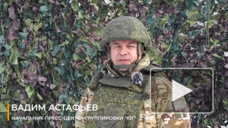 Подразделения ПВО и РЭБ за сутки сбили 39 украинских беспилотников в ДНР