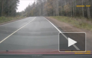 Неожиданно.