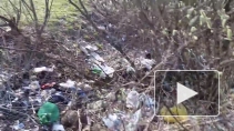 Градозащитники нашли "помоище" на углу Яхтенной и Камышовой улиц