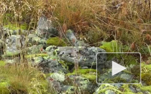 Пропавшая туристка не говорит, что произошло с ней на перевале Дятлова