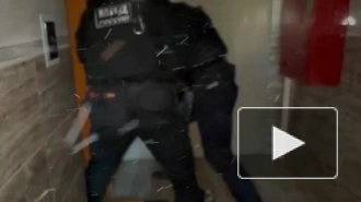 Полиция Петербурга задержала группу ночных "карманников", охотившихся на клиентов ночных баров