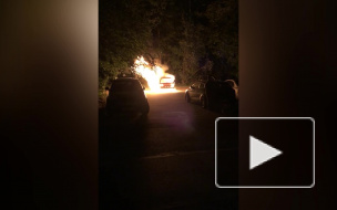 Видео: на проспекте Просвещения ночью сгорел автомобиль