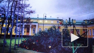 Шторм повалил новогоднюю ель у Таврического дворца в Петербурге