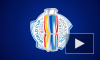 Кубок мира по хоккею 2016, расписание: 22 сентября Россия встретится с Финляндией