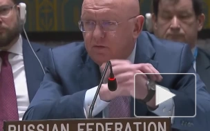 Небензя заявил, что не будет слушать на Совбезе ООН постпреда Украины
