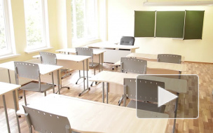 Игривого учителя из Петербурга подозревают в развращении школьницы